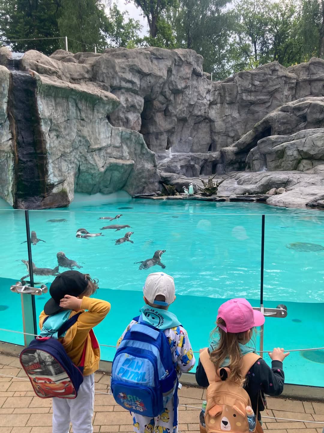 Wycieczka maluszków do ZOO